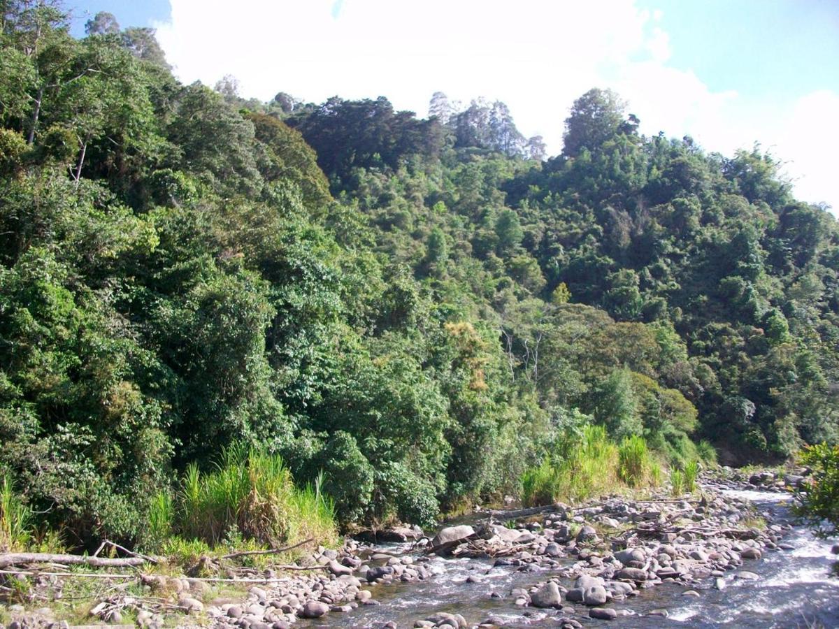 Kasaguadua - Reserva Natural Salento Kültér fotó